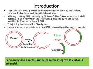 Insights into DNA Joining: I. Robert Lehman's Work on DNA Ligase.